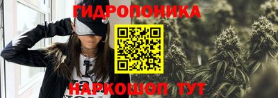 ПСИЛОЦИБИНОВЫЕ ГРИБЫ Заводоуковск