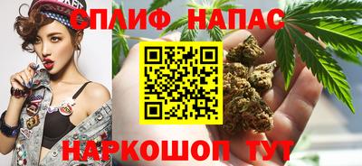 ПСИЛОЦИБИНОВЫЕ ГРИБЫ Заводоуковск